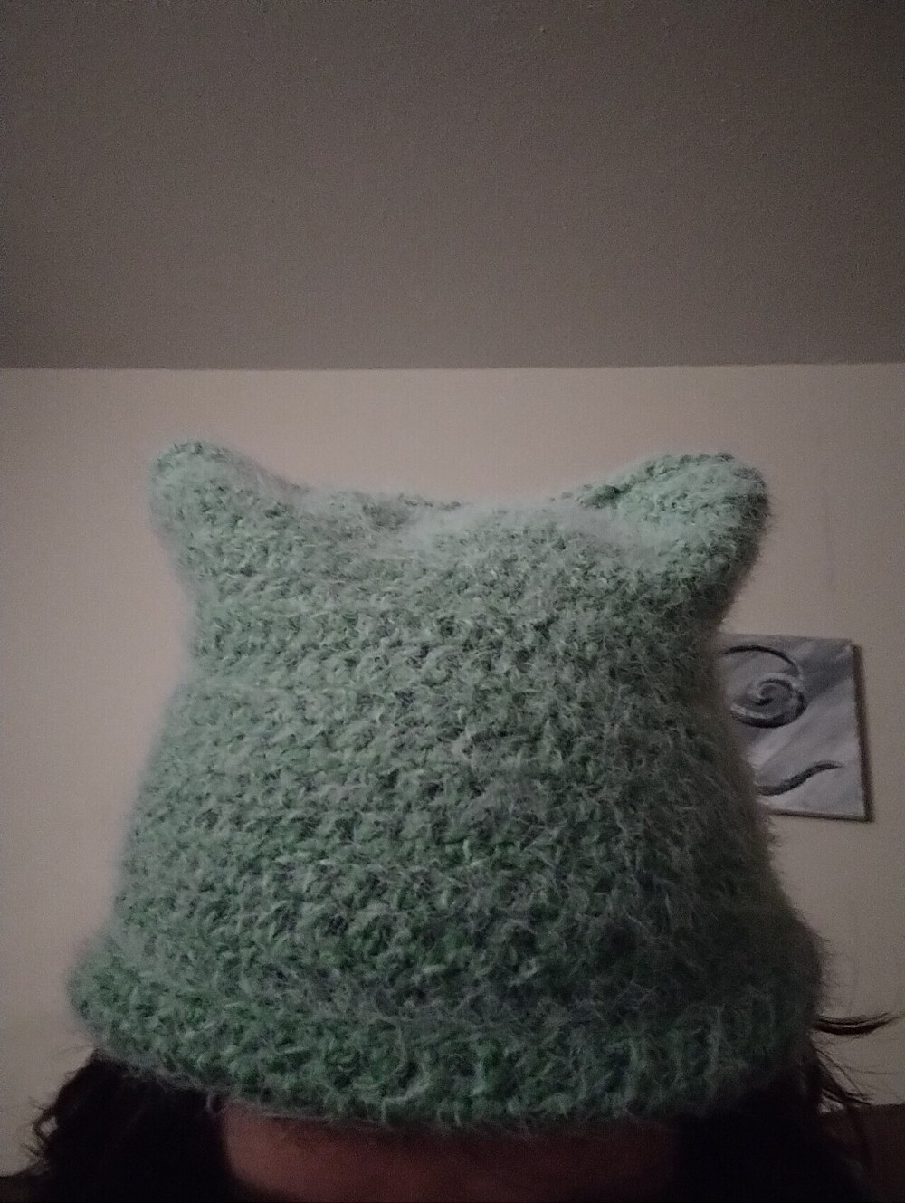 Hand Crocheted Beanie (Lil Ears)